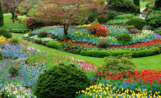 spring-landscaping